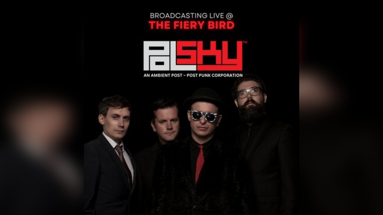Polsky live at Fiery Bird