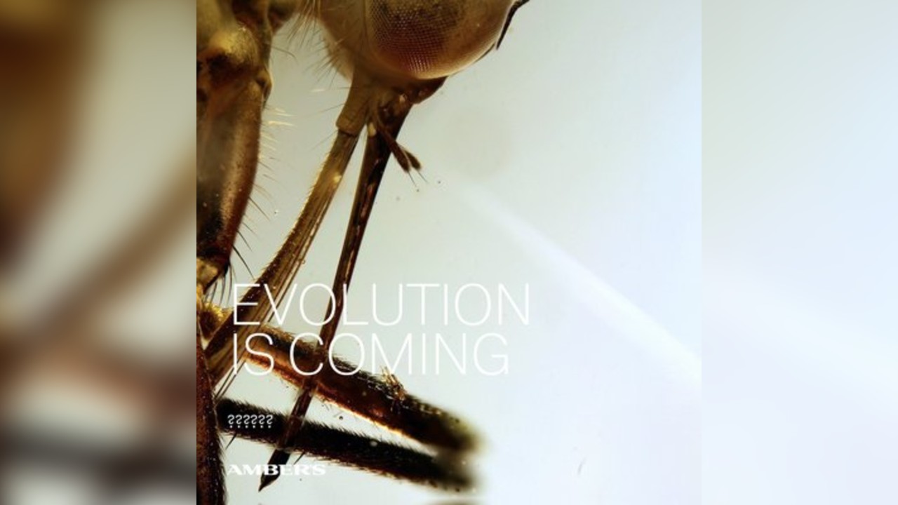 Evolution is Coming