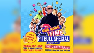 One More Time - 90s & 00s Party | Pitbull Special