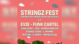 Stringz Fest