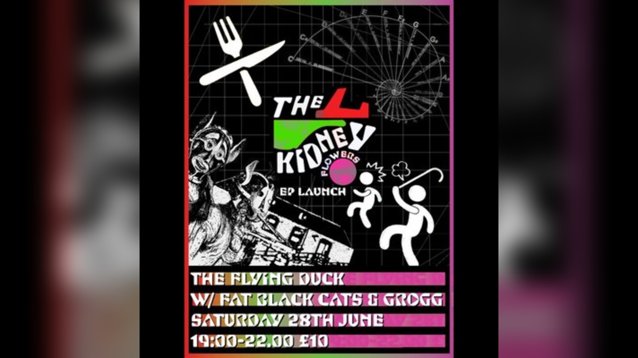 The Kidney Flowers EP Launch