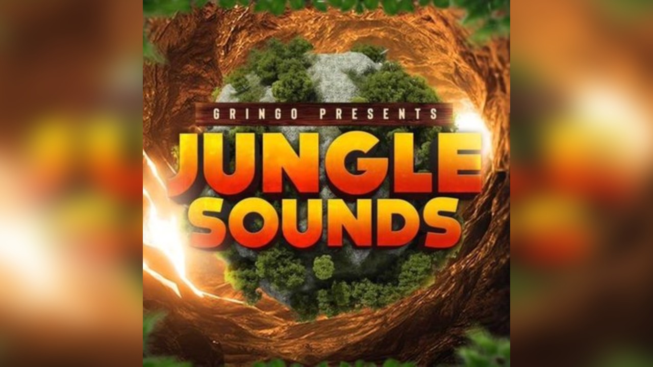 Jungle Sounds a history of Jungle Drum and Bass