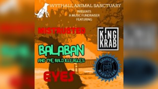 Wythall Animal Sanctuary Live Music Fundraiser