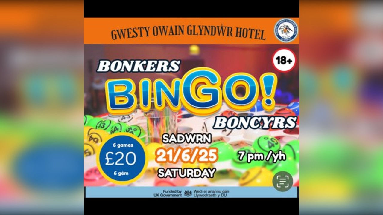 Bingo Boncyrs/Bonkers