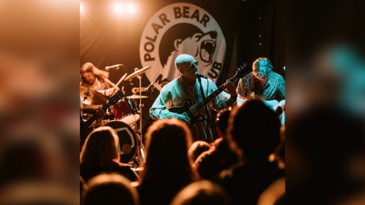 Plain Devilments at Polar Bear | Saturday 16th August