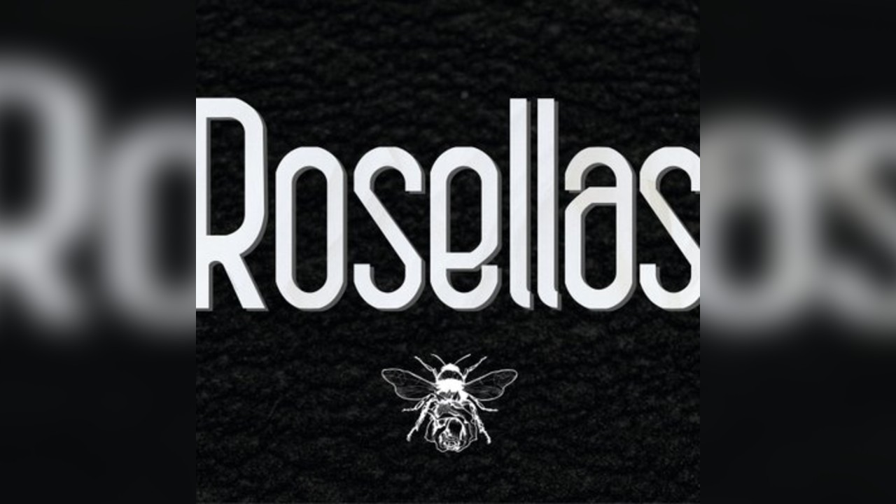 Rosellas at The Parish Wrexham