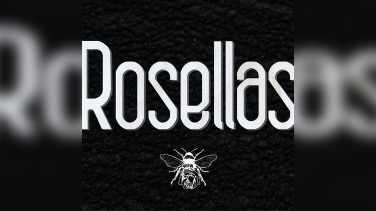 Rosellas at The Parish Wrexham
