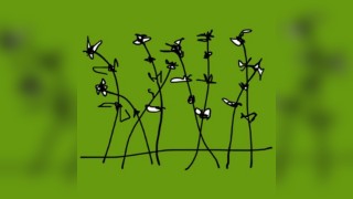 Peace and Love in the Garden