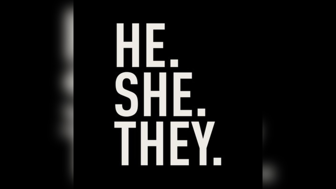 He. She. They. Newcastle // Bimini, Horse Meat Disco + more