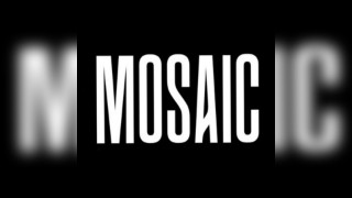 Mosaic Day/Night Party