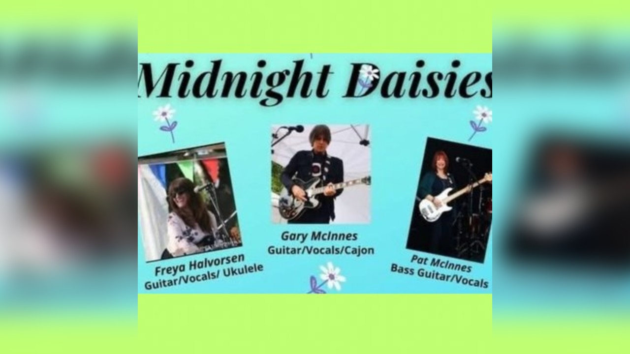 Midnight Daisies Live band