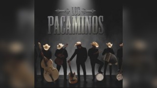 Los Pacaminos ft. Paul Young