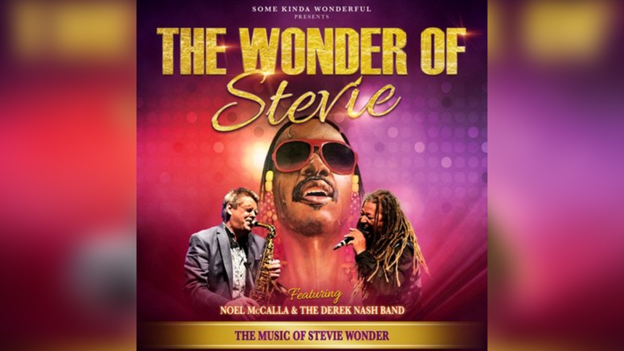 The Wonder of Stevie