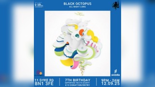 Black Octopus 7th Birthday Part1