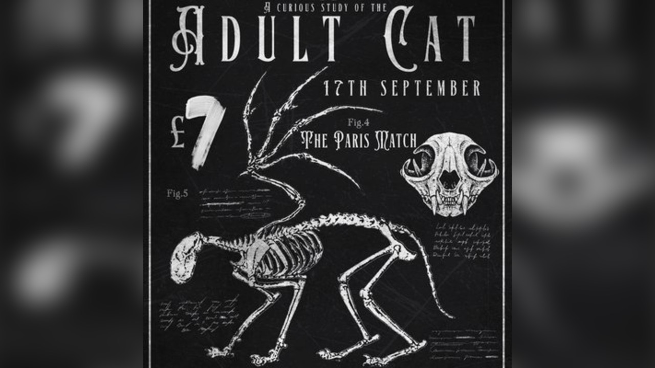 Adult Cat w/ The Paris Match 17/09/25 @ The Water Rats