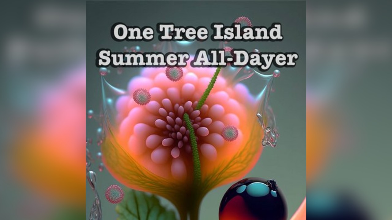 One Tree Island Summer All Dayer