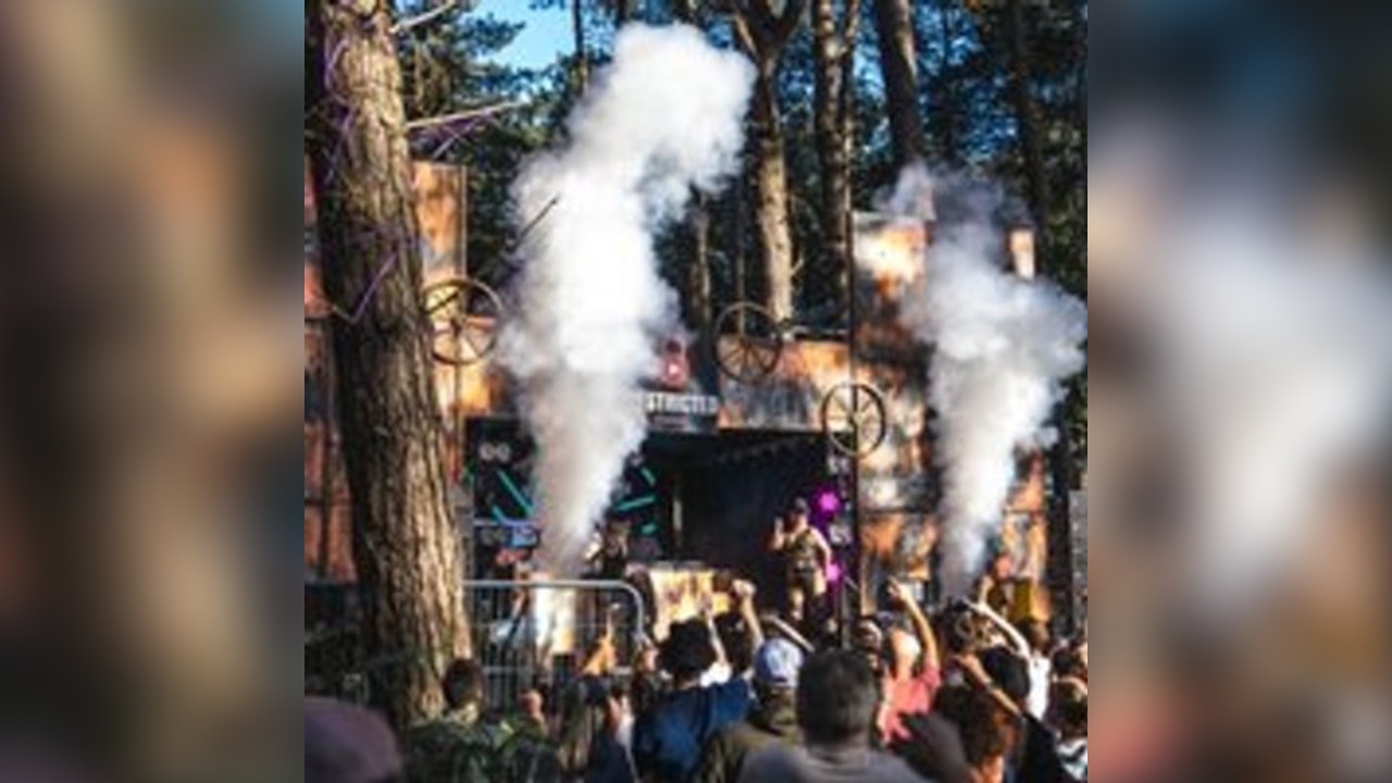 Restricted Forest 2026