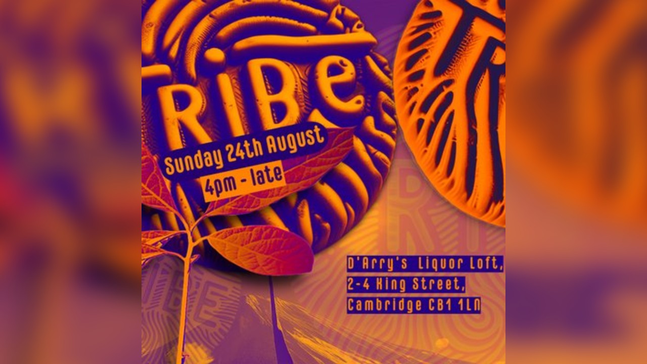 TRiBE