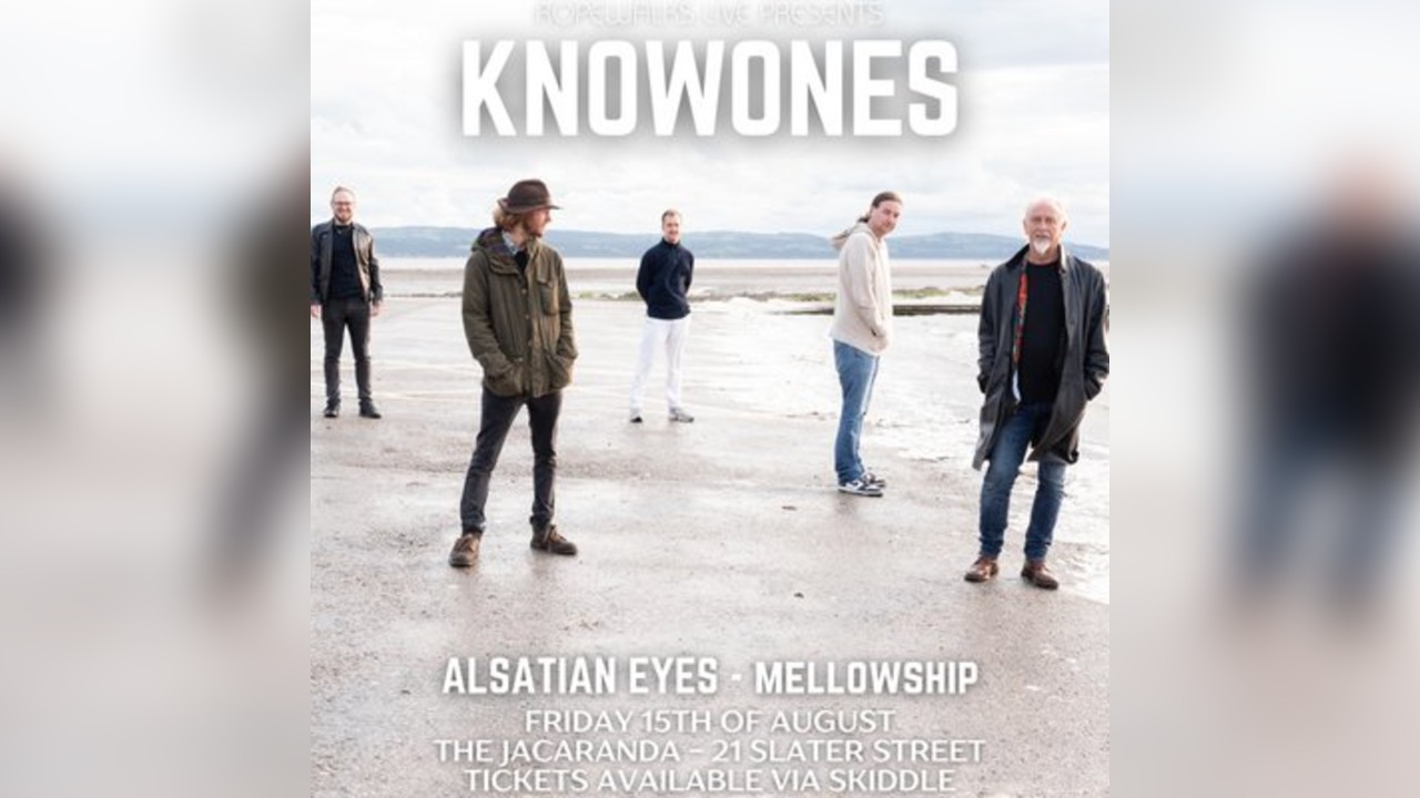 Knowones - Alsatian Eyes - Mellowship