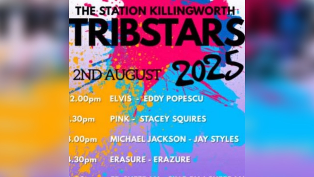 Tribstars festival