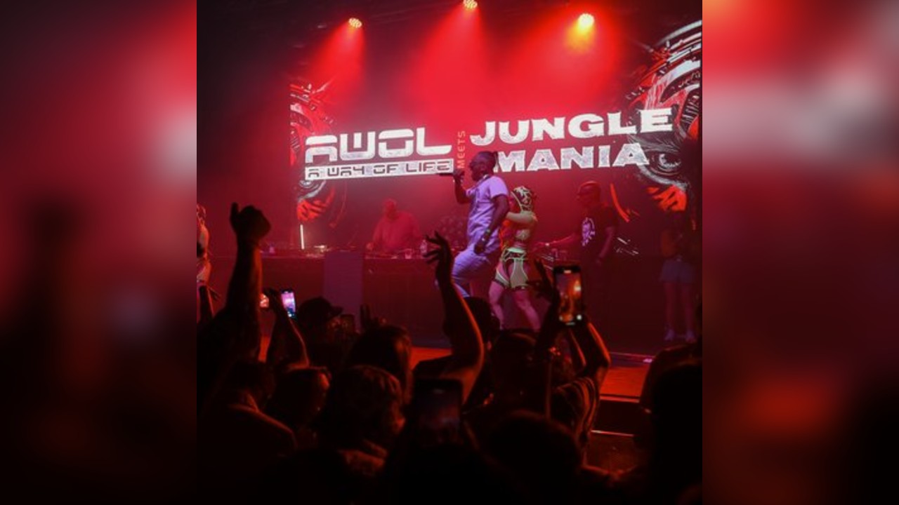 Jungle Mania meets AWOL Halloween All Dayer