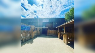 Playhouse Presents the End of Summer Day Party