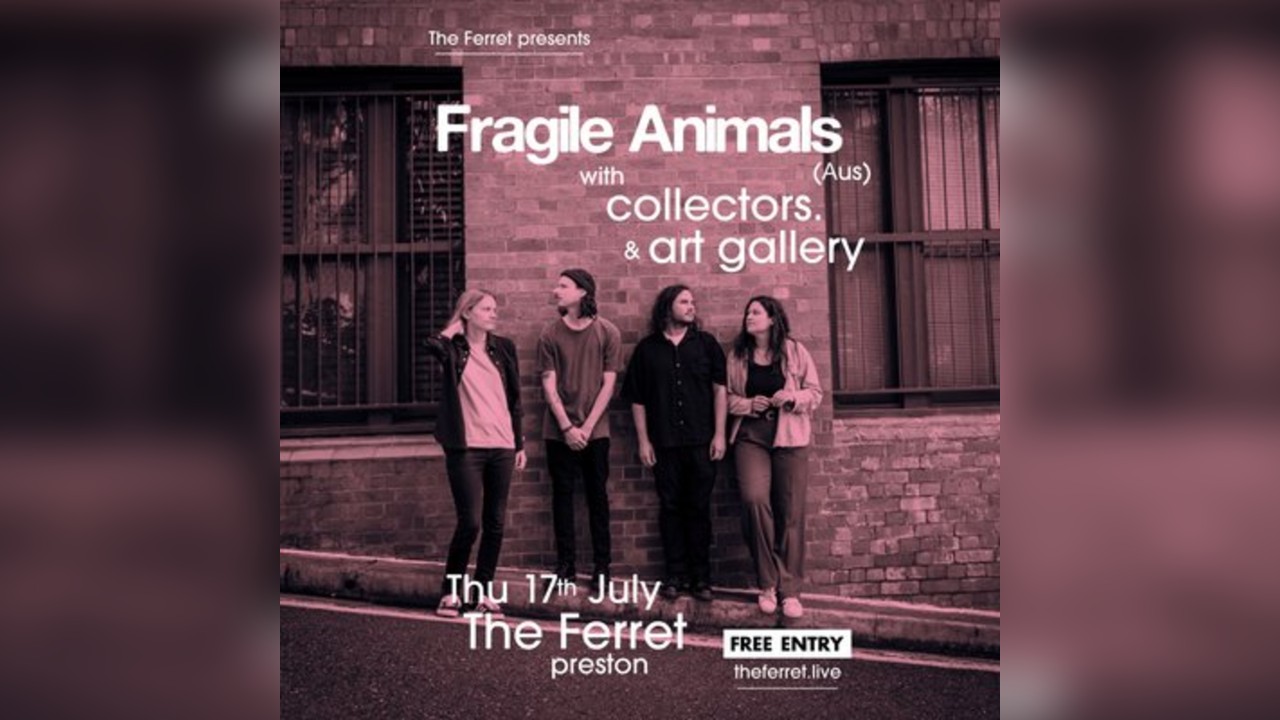 Fragile Animals + Collectors. + Art Gallery