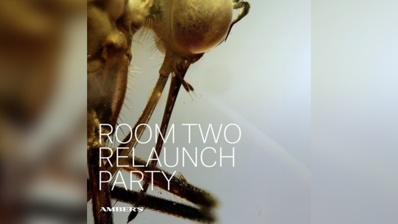 Room Two Relaunch Party: House | Techno | Groove