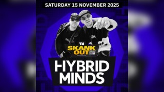 Hybrid Minds