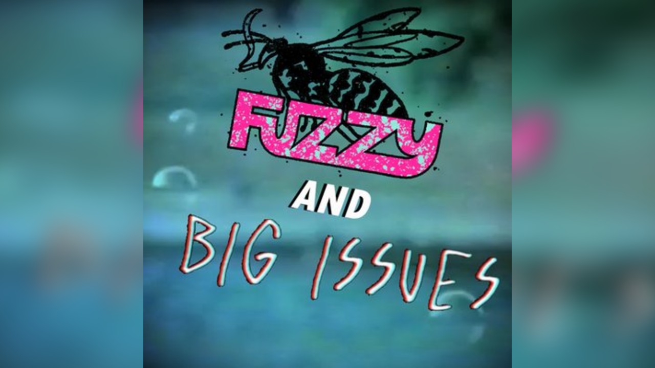 Fuzzy X Big Issues