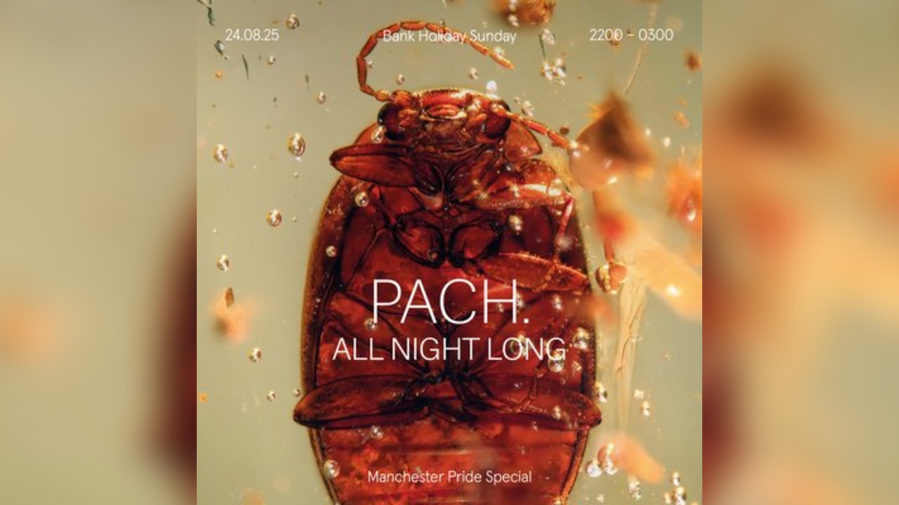 PACH. All Night Long