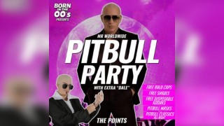 Born In The 00s Presents... MR WORLDWIDE PITBULL PARTY @ REVS