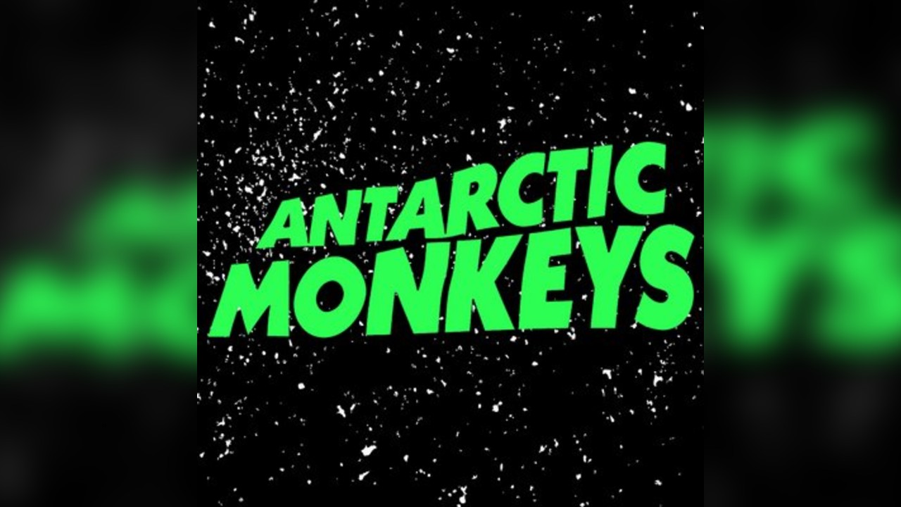 Antarctic Monkeys - The UKs No1. Arctic Monkeys Tribute Band