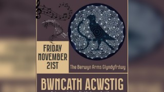 Bwncath Acwstig