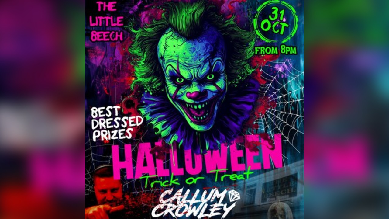 The little beech Halloween
