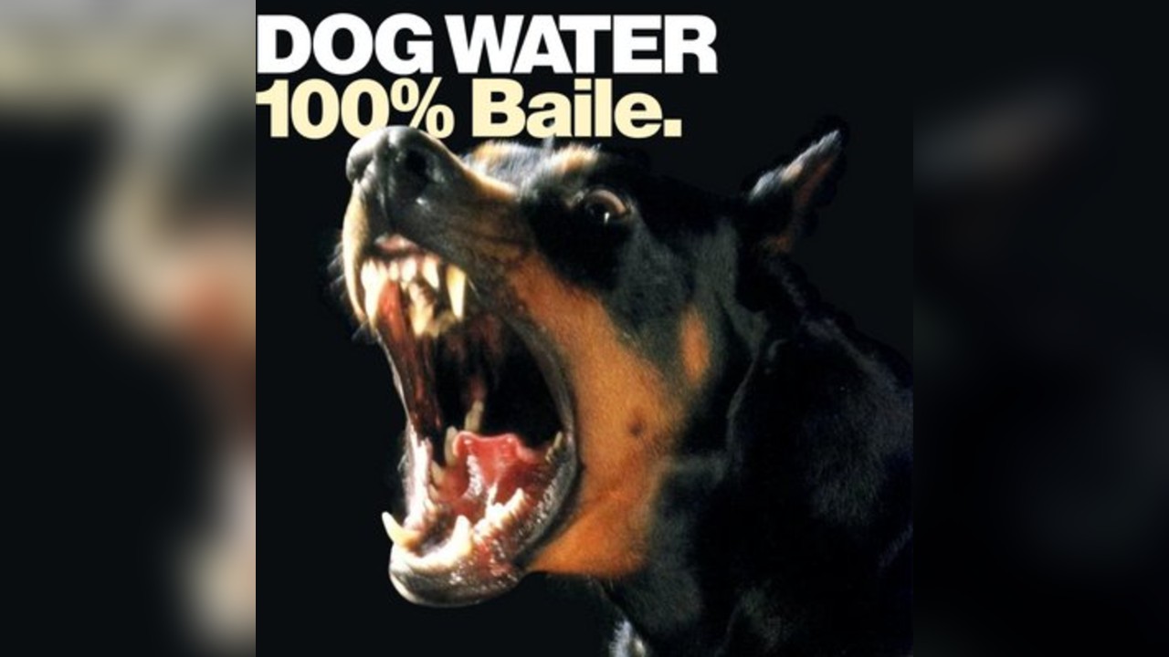 Dog water