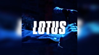Lotus