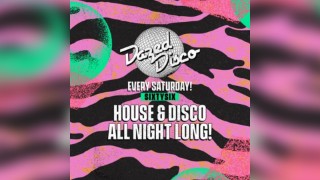 Dazed Disco @ SIXTYSIX Every Saturday in Bristol