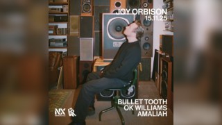 Joy Orbison, bullet tooth