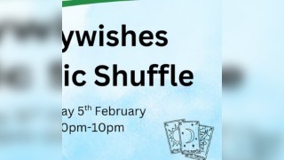 Fairywishes Psychic Shuffle