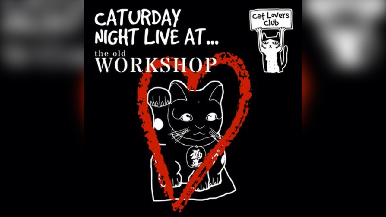 Caturday Night Live at the Old Workshop