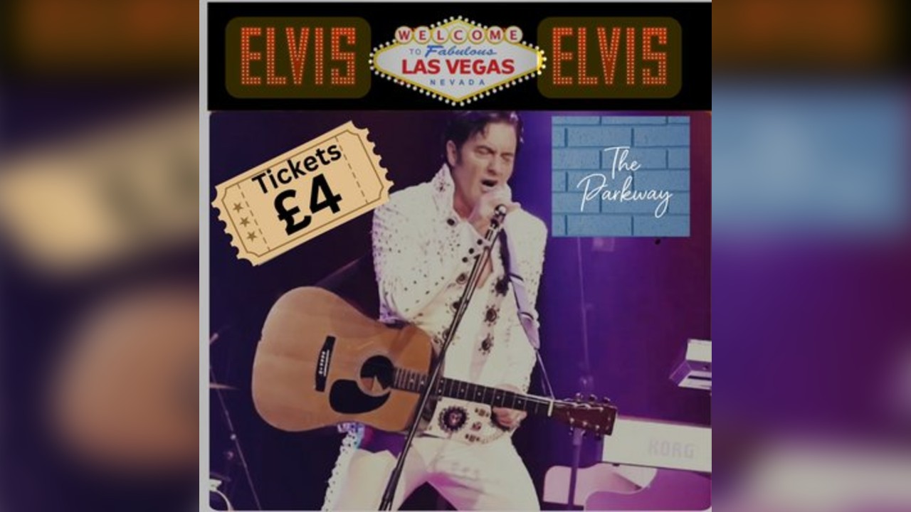 Viva Elvis by Niall Southall