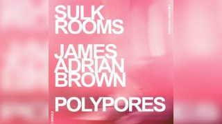 Sulk Rooms + James Adrian Brown + Polypores