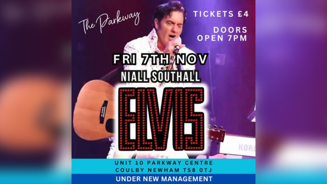 Viva Elvis by Niall Southall