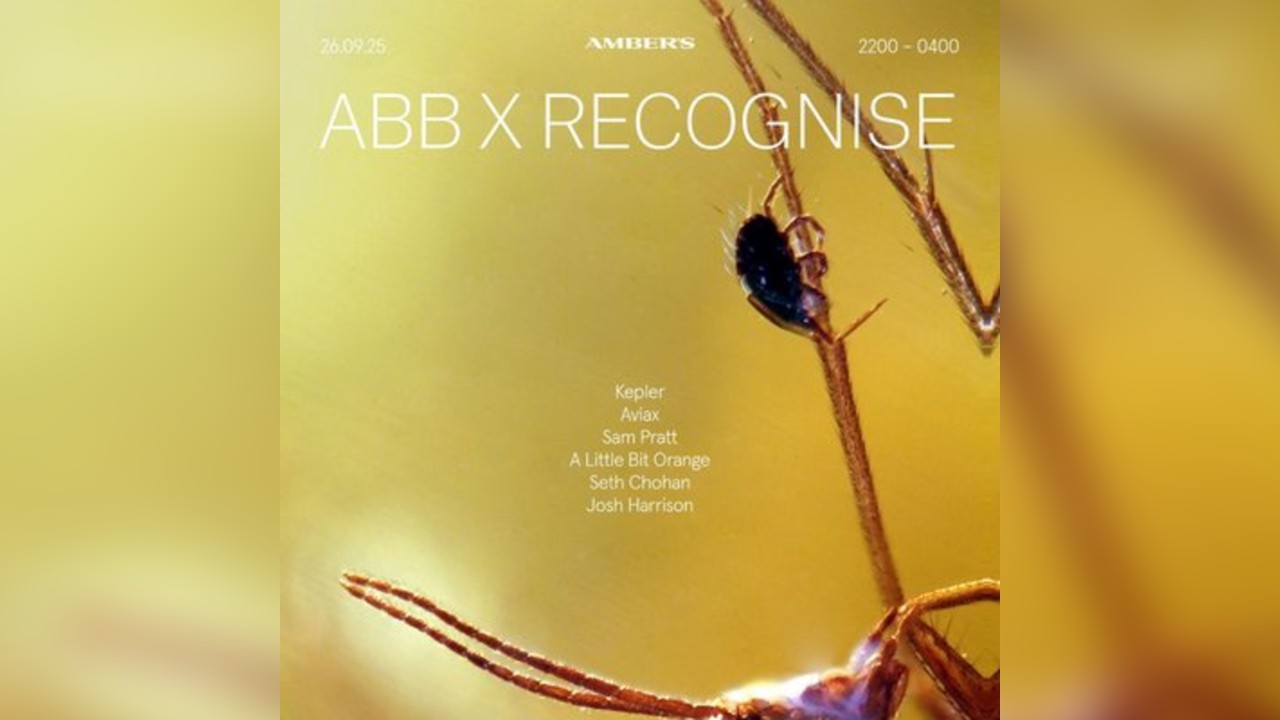 AXR: (ABB x RECOGNISE) - KEPLER  & MORE