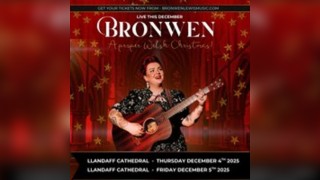 Bronwen Lewis : A Proper Welsh Christmas