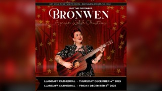 Bronwen Lewis : A Proper Welsh Christmas