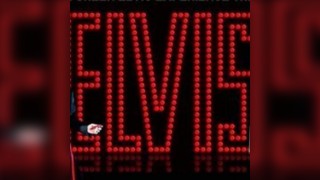 The Elvis Experience with The Dixie Rock n Roll Band