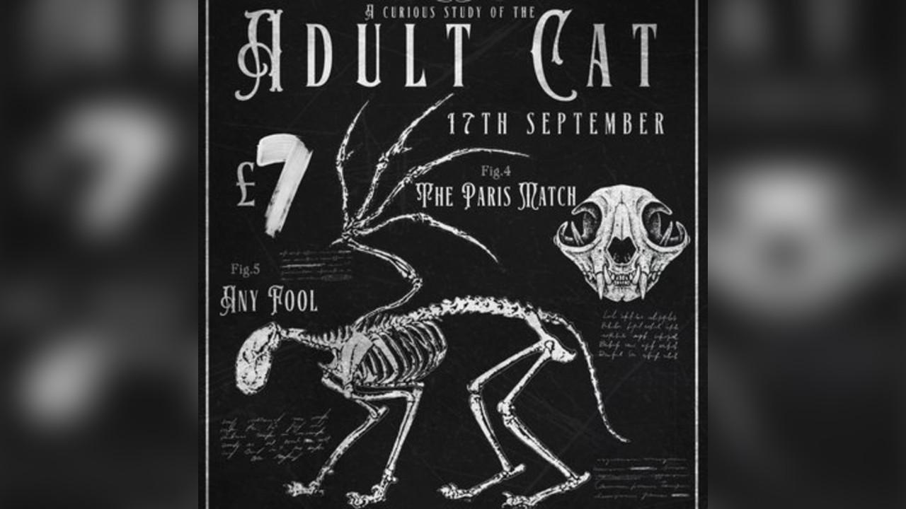 Adult Cat w/ The Paris Match 17/09/25 @ The Water Rats