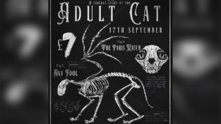 Adult Cat w/ The Paris Match 17/09/25 @ The Water Rats